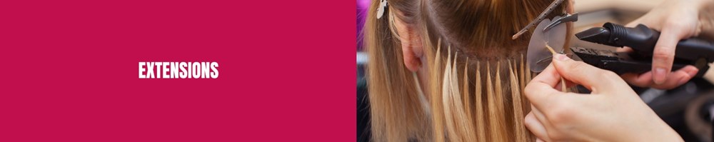 CATEGORY GENERIC Single Extensions