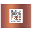 BRAZILIAN BLOWOUT Visual Instruction Guide
