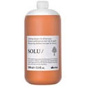 Davines clarifying shampoo Liter