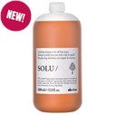 Davines clarifying shampoo Liter