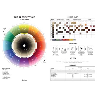Davines The Present Time Technical Map