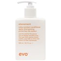evo atonement colour protect conditioner 10.1 Fl. Oz.