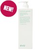 evo common ground scalp shampoo Liter