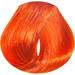 evo intense copper 2 Fl. Oz.