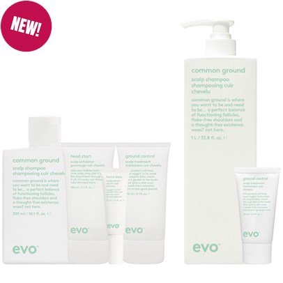 evo grounds keeper kit 34 pc.