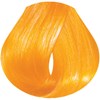 evo intense gold 3.4 Fl. Oz.