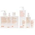 evo right the wrongs salon kit 33 pc.