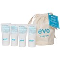evo the mane travel - hydrate introduction holiday kit 4 pc.