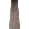 ITELY HAIRFASHION 8CC/8.11- Intense Ash Light Blond 3.38 Fl. Oz.
