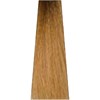ITELY HAIRFASHION 8N/8.0- Light Blond 3.38 Fl. Oz.