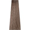ITELY HAIRFASHION 8NF/8.01- Light Blond Cool Natural 3.38 Fl. Oz.