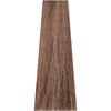 ITELY HAIRFASHION 9B/9.23- Lightest Beige Blond 3.38 Fl. Oz.