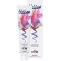 ITELY HAIRFASHION DIRECT HAIR COLOR