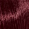 KEVIN.MURPHY +CODE 6.5/6M- DARK.BLONDE.MAHOGANY 3.4 Fl. Oz.