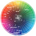 KEVIN.MURPHY Wall Colour Wheel