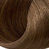 LAKMÉ 7/61+ Ash Chestnut Medium Blonde 2.1 Fl. Oz.