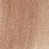 milk_shake 10.13- Platinum Lightest Blond Beige 3.4 Fl. Oz.