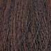 milk_shake 5.14- Ash Copper Intense Light Brown 3.4 Fl. Oz.