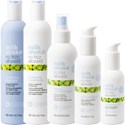milk_shake no frizz allowed try me kit 5 pc.