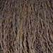milk_shake 5.01- Natural Ash Light Brown 3.4 Fl. Oz.