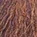 milk_shake 5.431- Exotic Light Brown 3.4 Fl. Oz.