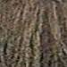 milk_shake 6.1- Ash Dark Blond 3.4 Fl. Oz.
