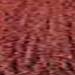 milk_shake 6.56- Mahogany Red Dark Blond 3.4 Fl. Oz.