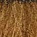 milk_shake 6- Dark Blond 6N 3.4 Fl. Oz.