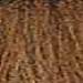 milk_shake 6.01- Natural Ash Dark Blond 3.4 Fl. Oz.