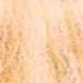 milk_shake 9.314- Light Caramel 3.4 Fl. Oz.