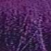 milk_shake Violet 3.4 Fl. Oz.