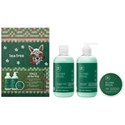 Paul Mitchell Tingle All the Way Holiday Kit 3 pc.
