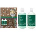 Paul Mitchell Treasure the Tingle Holiday Kit 2 pc.