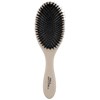 Paul Mitchell Dressing Brush