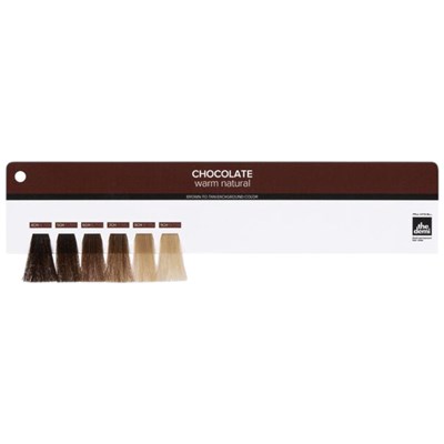 Paul Mitchell Chocolate + Series Swatch