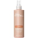 Paul Mitchell COLOR PROTECT LOCKING SPRAY 8.5 Fl. Oz.