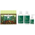 Paul Mitchell Lemon Tree Market 3 pc.
