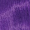 Paul Mitchell Violet Plum 3.4 Fl. Oz.