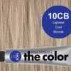 10CB-Lightest Cool Blonde - PM the color