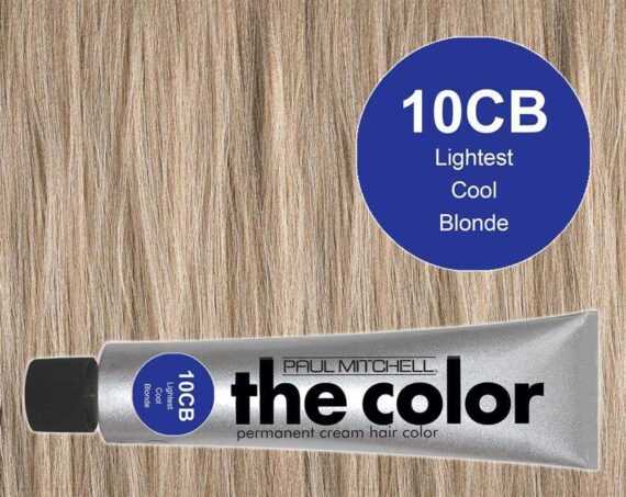 10CB-Lightest Cool Blonde - PM the color