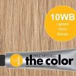 10WB-Lightest Warm Blonde - PM the color