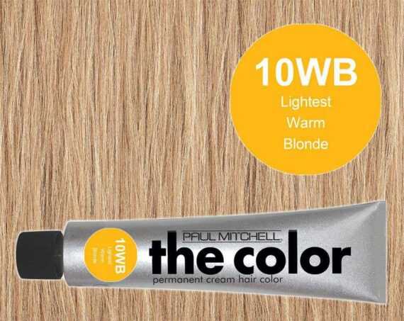 10WB-Lightest Warm Blonde - PM the color