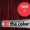 5RR-Red Red - PM the color
