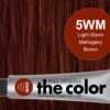 5WM-Light Warm Mahogany Brown - PM the color