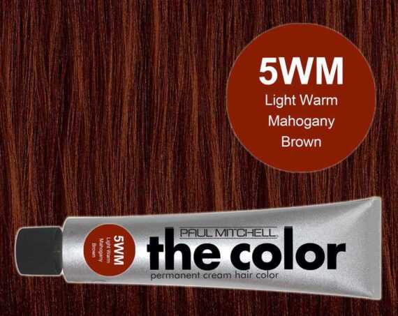 5WM-Light Warm Mahogany Brown - PM the color