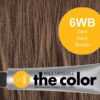 6WB-Dark Warm Blonde - PM the color