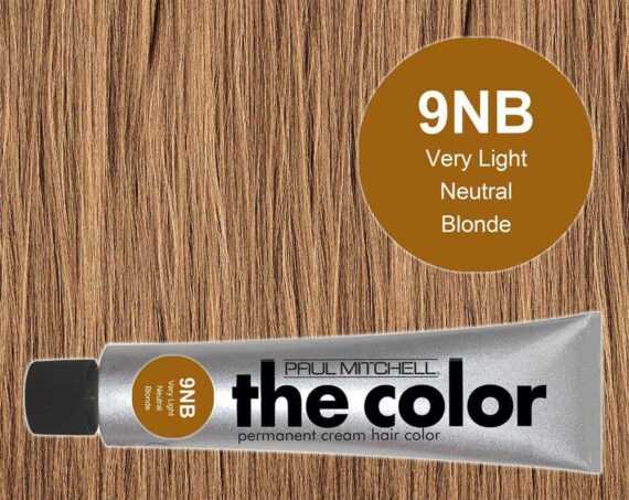 9NB-Very Light Neutral Blonde - PM the color