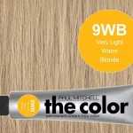 9WB-Very Light Warm Blonde - PM the color