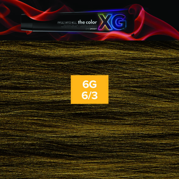 6G - Paul Mitchell the color XG